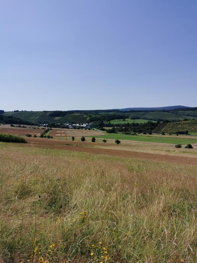 Appartement Am Alten Winzerhof *