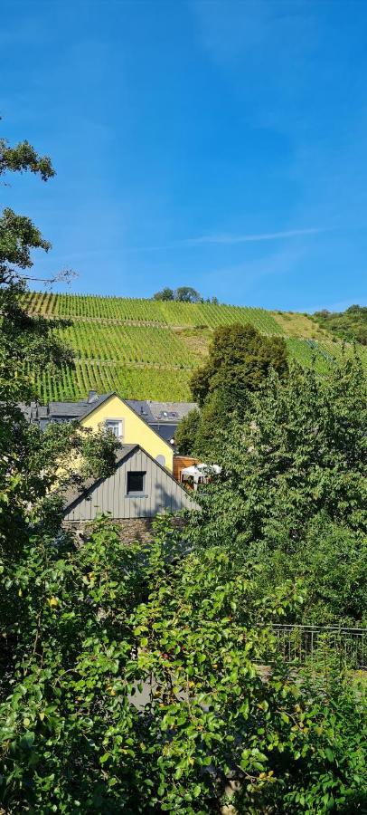 Am Alten Winzerhof Appartement